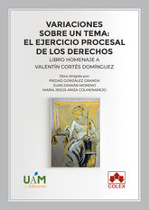 VARIACIONES SOBRE UN TEMA EL EJERCICIO PROCESAL DE LOS DERE - 9788413596723